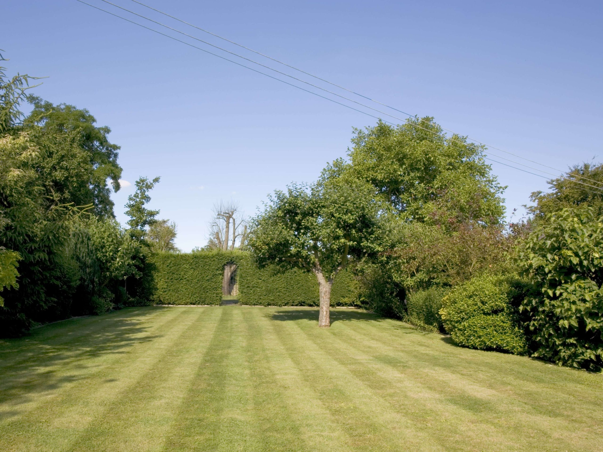 Lawn Mowing/Hedge Trimming Southwark SE1