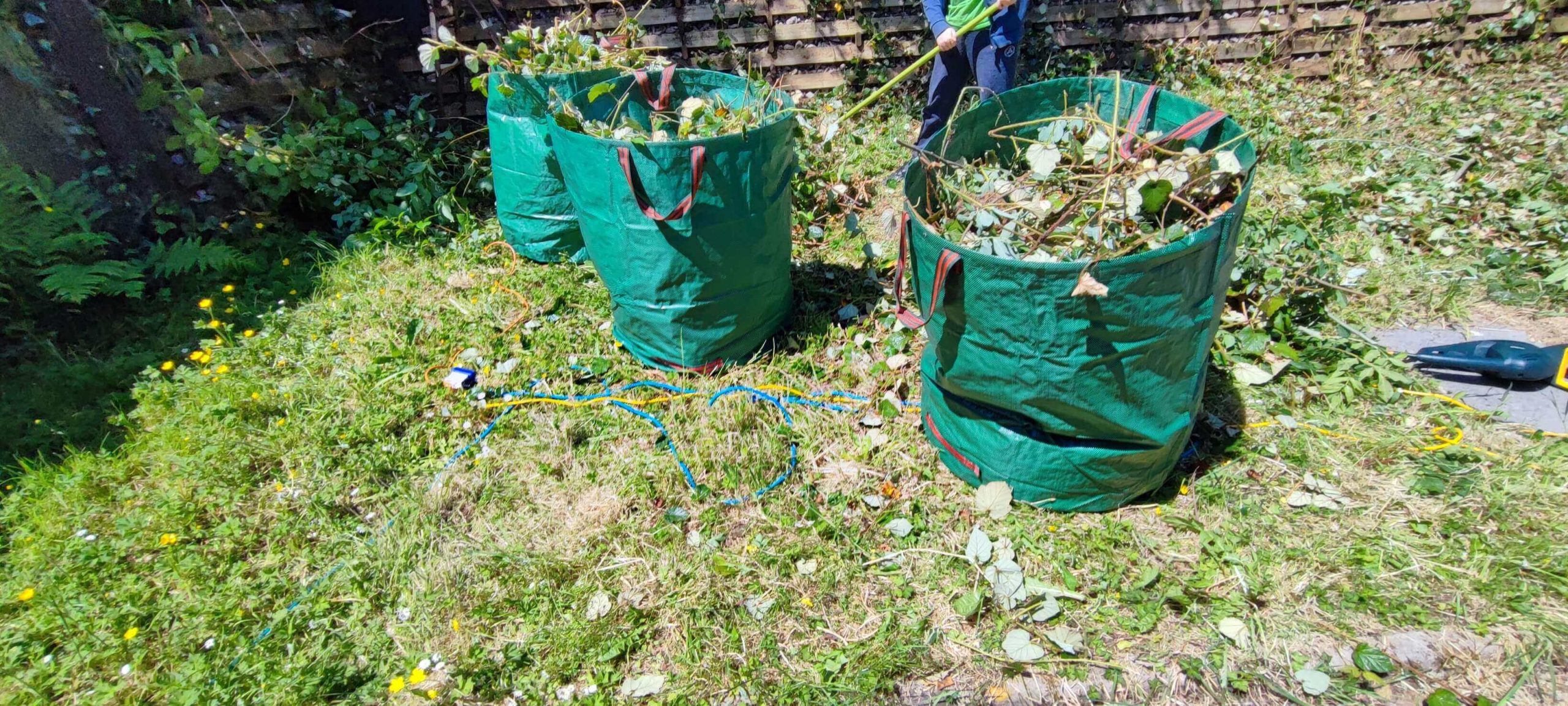 Green Waste Removals Southwark SE1