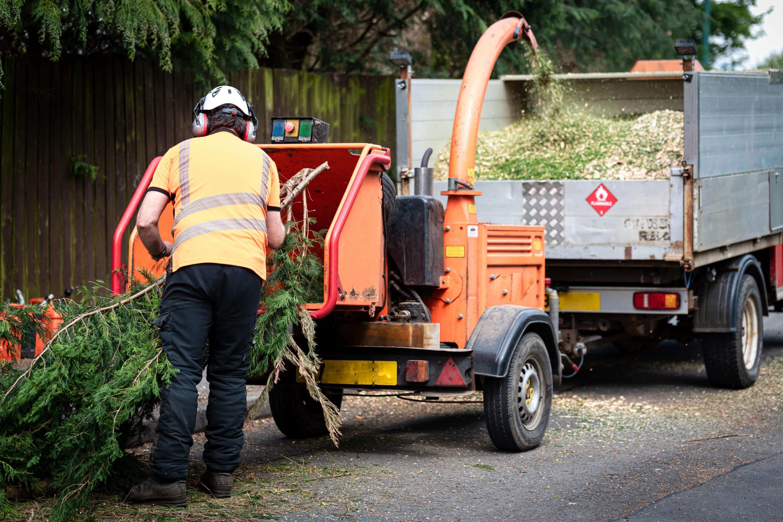 Tree Stump Grinding/Removal Southwark SE1
